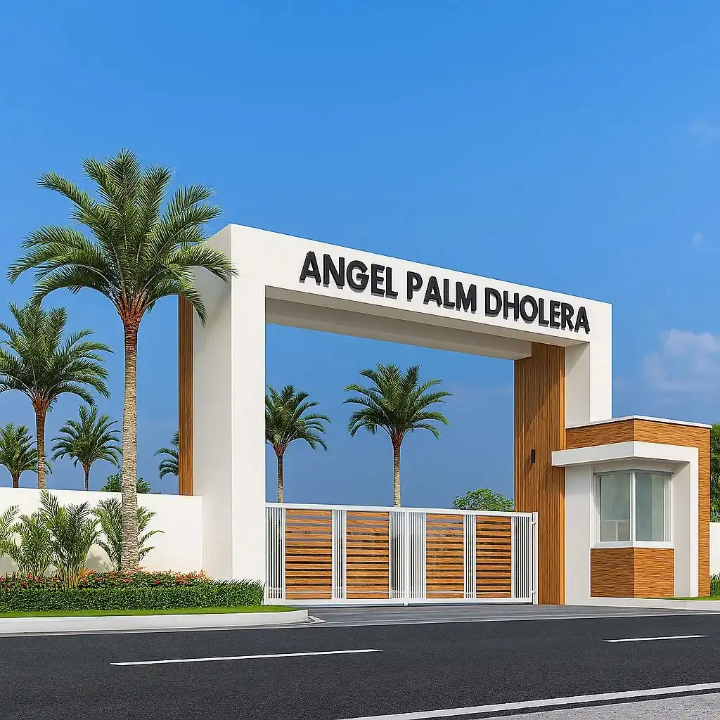 Angel Palm Dholera Angel Nova