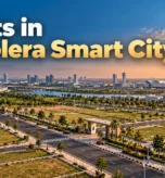Dholera Smart City Plot